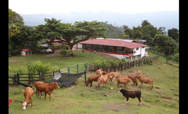 Vendo Finca San Vicente de Chucurí Santander