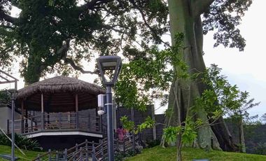 Casa en Alquiler vía a la costa