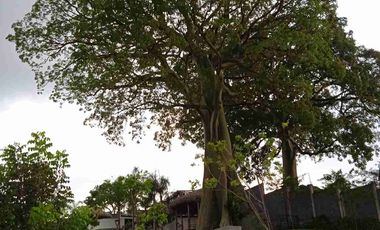 Casa en Alquiler vía a la costa