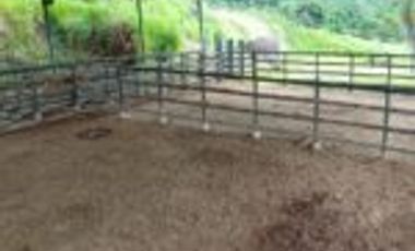 Vendo Finca Embalse Topocoro Santander