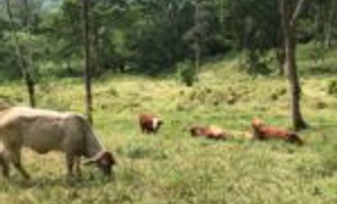 Vendo Finca Embalse Topocoro Santander