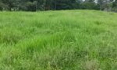 Venta de Finca en Vegas del río Opón Santander