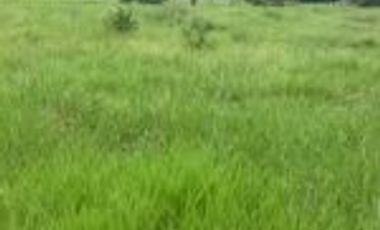 Venta de Finca en Vegas del río Opón Santander