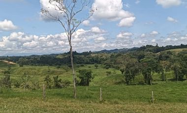 Finca Ganadería En El Bajo Simacota  Santander