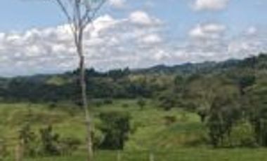 Finca Ganadería En El Bajo Simacota  Santander