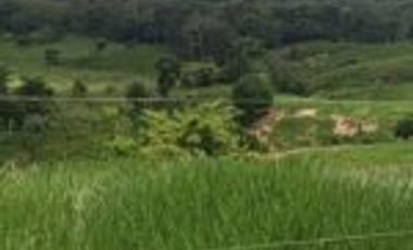 Finca Ganadería En El Bajo Simacota  Santander