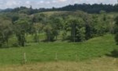 Finca Ganadería En El Bajo Simacota  Santander