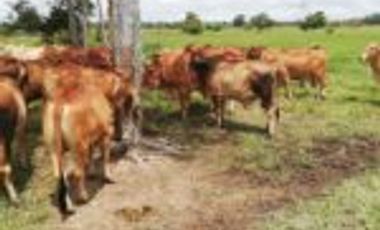 Venta de Finca en  Puerto Parra Santander