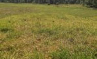 Venta de Finca en  Puerto Parra Santander