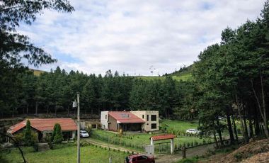 Hermoso Terreno 650m2 en Bellavista urb Privada y Acogedora