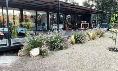 Boldos de santa Adela, Mantagua