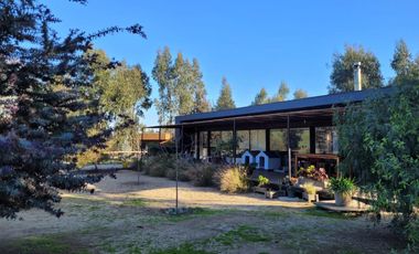 Boldos de santa Adela, Mantagua