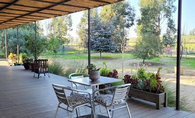 Boldos de santa Adela, Mantagua