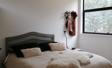 Boldos de santa Adela, Mantagua