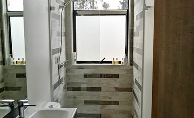 Boldos de santa Adela, Mantagua