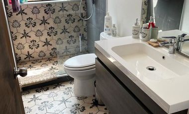 Boldos de santa Adela, Mantagua