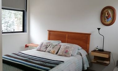 Boldos de santa Adela, Mantagua