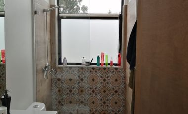 Boldos de santa Adela, Mantagua