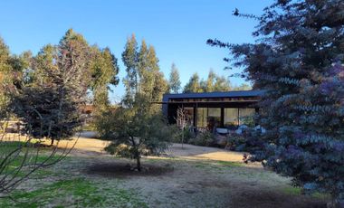 Boldos de santa Adela, Mantagua