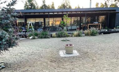 Boldos de santa Adela, Mantagua