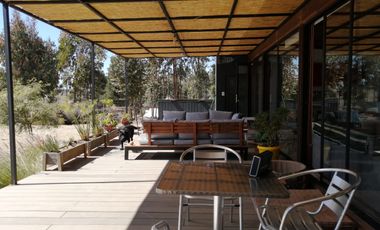 Boldos de santa Adela, Mantagua