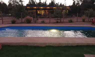 Boldos de santa Adela, Mantagua