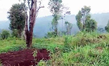 Tanah dijual di Gepor, Tamansari, Kendal, Jawa Tengah