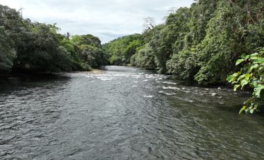 Se vende terreno de 3 Hectáreas con Frente a Vía Asfaltada y Río Caoní – Puerto Quito Ecuador