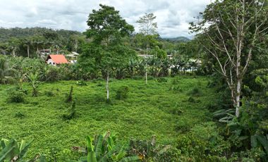 Se vende terreno de 3 Hectáreas con Frente a Vía Asfaltada y Río Caoní – Puerto Quito Ecuador