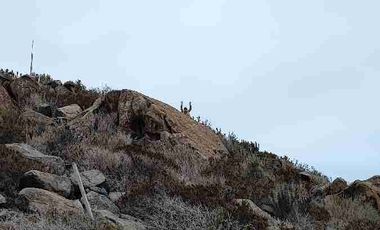 Vendo parcela frente al mar