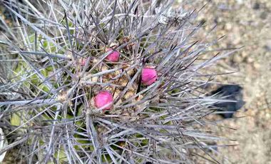 Vendo parcela frente al mar