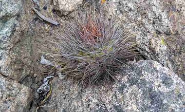 Vendo parcela frente al mar