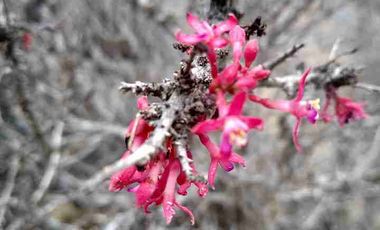 Vendo parcela frente al mar