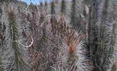 Vendo parcela frente al mar