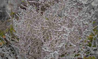 Vendo parcela frente al mar