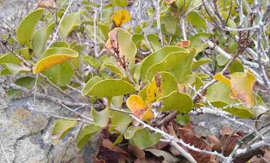 Vendo parcela frente al mar