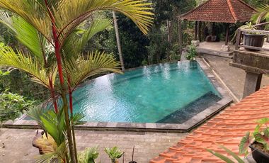 Dijual Cepat   Villa Murah Hitung Tanah  Villa Amanda Ubud - Bali