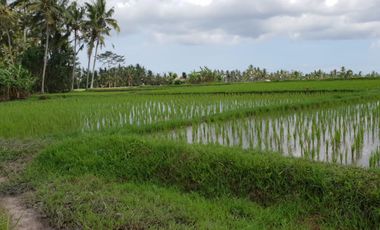 Dijual Cepat   Villa Murah Hitung Tanah  Villa Amanda Ubud - Bali