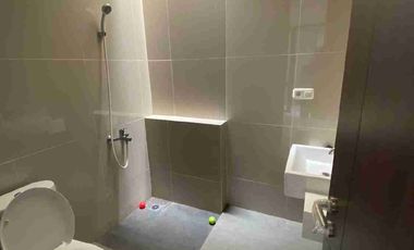 Depan Taman Rumah Langka Sutera Victoria Alam Sutera