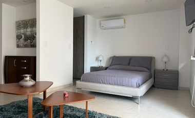 RENTA DEPARTAMENTO AMUEBLADO, TIPO LOFT EN NATURA TORRE NOVULE.