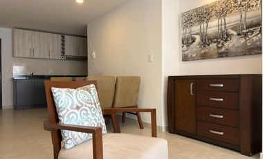 RENTA DEPARTAMENTO AMUEBLADO, TIPO LOFT EN NATURA TORRE NOVULE.