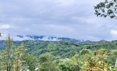 Tanah 3799m² Bonus Villa Kawasan Wisata Karanganyar