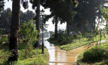 BROKER COSTA AMOBLADO 1D-1B-1EST. TERRAZA