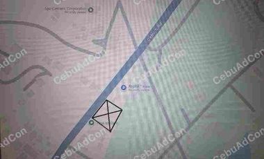 Commercial Lot in Naga Cebu