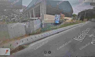 Commercial Lot in Naga Cebu