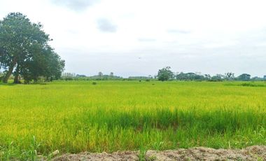 Venta de Terreno en Ricaurte, Los Ríos