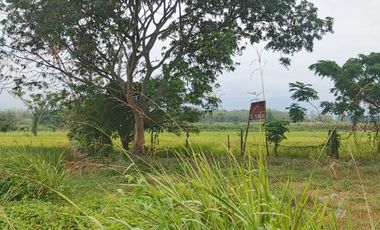 Venta de Terreno en Ricaurte, Los Ríos