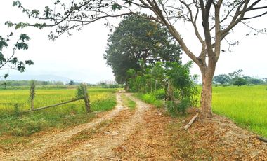 Venta de Terreno en Ricaurte, Los Ríos