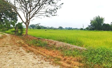 Venta de Terreno en Ricaurte, Los Ríos