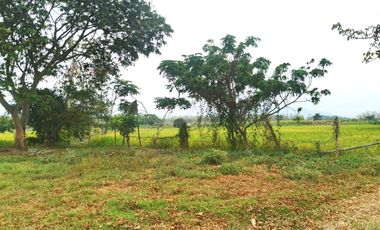 Venta de Terreno en Ricaurte, Los Ríos